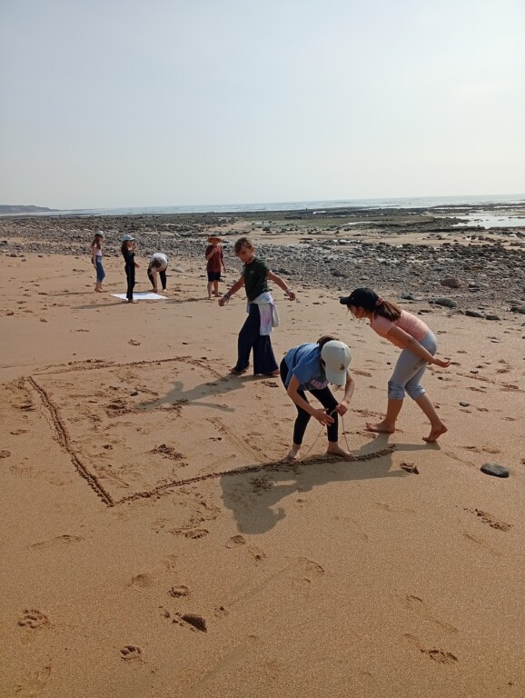 Classe dehors à la plage (CE2 CM1 CM2)